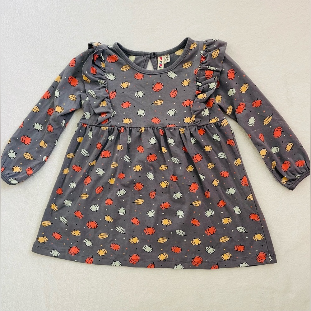 Minibamba Toddler Girl Dress 3T Gray Long Sleeves A-line Pumpkins Fall Harvest